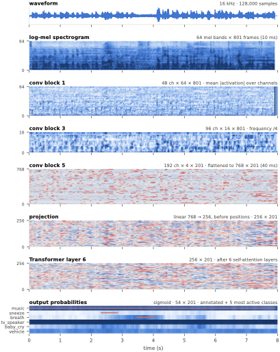 Signal flow through convolutional blocks and Transformer encoder